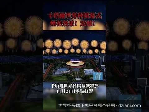 如何避开虚假网站？2026世界杯买球正规平台筛选的四大硬性指标